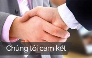 cam ket 310x196
